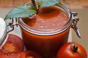 tomato sauce and tomatoes