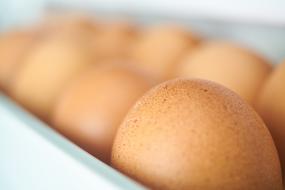 Kitchen Eggs Fresh