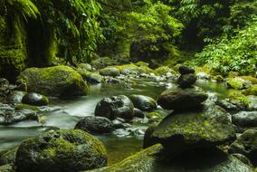 green boulders in the river in the Azores, Portugal