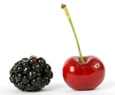 blackberries and cherries on a white background