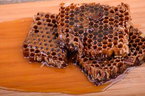Honeycomb Food