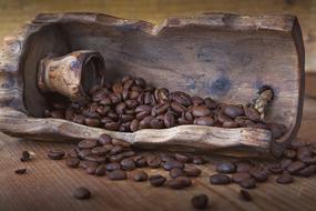 Roasted Coffee Beans wood shovel