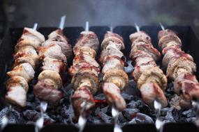 Beautiful juicy chicken on skewers on coals