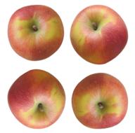 Apple Fruit Juicy red
