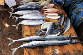 Colorful, shiny, raw fish on the wooden surface, on the market