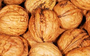 walnuts with hard shell