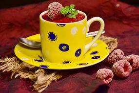 Raspberries Sorbet in cup