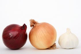 onion with garlic on a white background