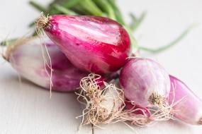 Onion Tropea Raw red