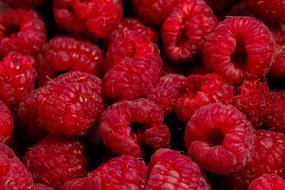 lot of ripe raspberries close up