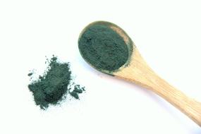 Spirulina Alga Vegetable spoon