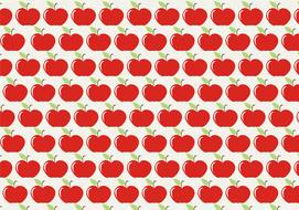 apple fruits drawing