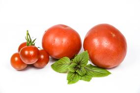 Tomatoes Fresh and green herb