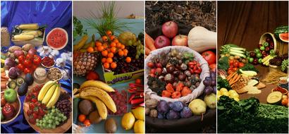 fresh fruits and vegetables, collage, healthy food