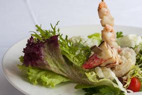 salad with lettuce and shrimp on a plate