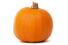 Beautiful, ripe, orange pumpkin, in autumn, with shadow, at white background