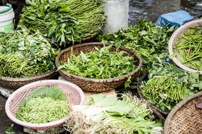 Agriculture green Flora