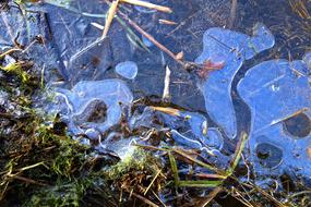 Ice Frozen grass