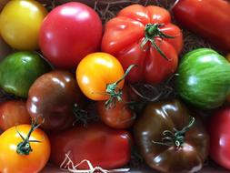 Tomatoes Vegetables Food colors