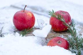 Apple Red Fruits in snow