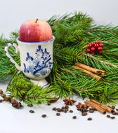 Christmas Healthy apple