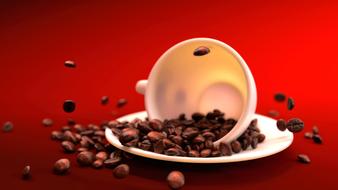Dawn Drink Coffee beans