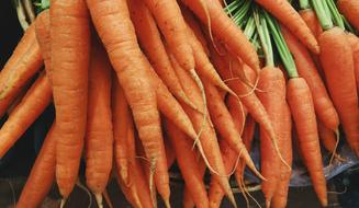 organic Carrots Vegetables Food