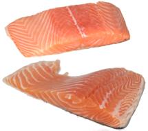 raw Salmon Fish Fillet at white background