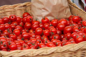 Cherry Tomato Red