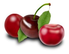 Cherries Fruits Plants Red