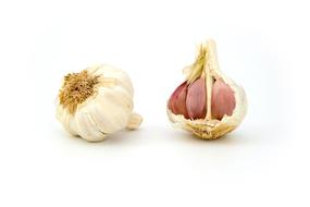 Garlic as a Spices Aroma