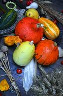 Pumpkins at Autumn Still Life