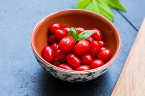 red tomatoes in a bowl