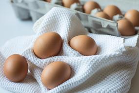 Eggs food farm