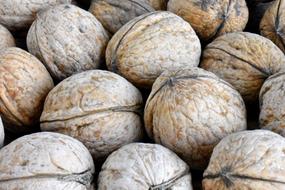 Healthy Greek Walnut