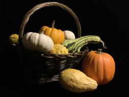 Beautiful and colorful, different pumpkins in the wicker basket, in light, at black background