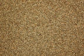 Perilla Pattern Texture