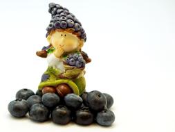 garden figurine on blueberry