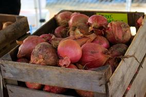 Purple Onions on Farmers Market