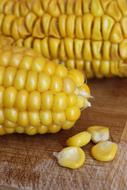 Close Up picture of Food Corn