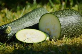 Zucchini Vegetables Harvest