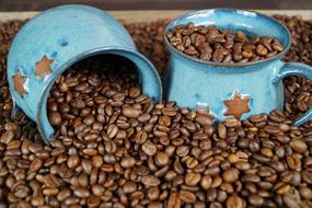 Beautiful, shiny, turquoise and brown pitches in brown coffee beans