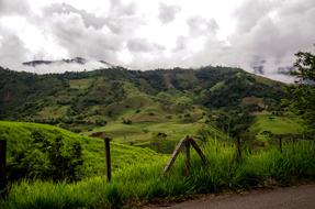 coffee zone in colombia