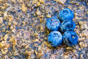 Blueberries Berries Food