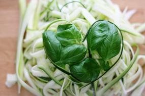 Healthy Zucchini Delicious leaves