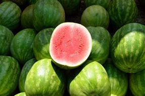 selling ripe watermelons on the market