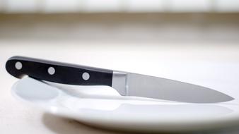 Knife Kitchen Cooking on a blurred background