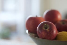 Fruit Apple Fruits