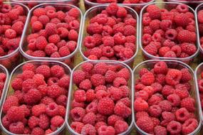 Close-up of the beautiful, pink and ripe raspberries in the boxes at the Naschmarkt in Vienna, Austria