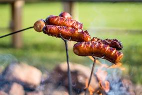 An Outbreak Of Sausage Baking at park